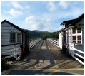 The Toll Bridge at Penmaenpool