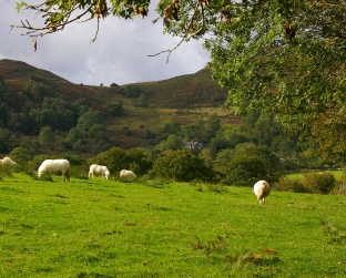 Enjoy peaceful walks at Tal y Waen