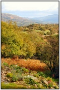 Tal y Waen in autumn