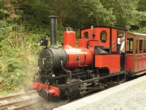 Steam Train