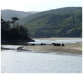 The view of the Mawddach Estuary from Penmaenpool